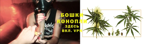 PSILOCYBIN Новокубанск