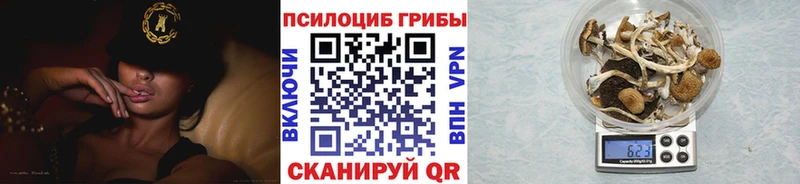 Псилоцибиновые грибы Magic Shrooms  наркотики  mega ССЫЛКА  Усть-Лабинск 
