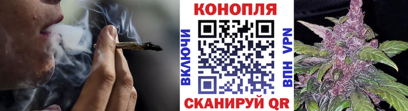 Конопля Bruce Banner  мега tor  Усть-Лабинск 